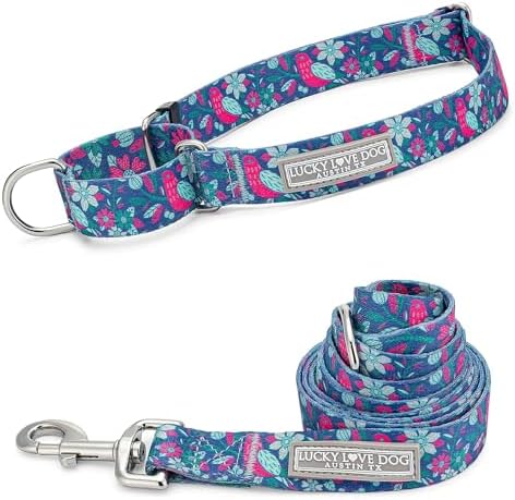 Lucky Love Dog Martingale Collar & Leash Set No Slip – Carriebelle, Small