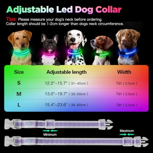 Flashseen Light up Collars for Dogs at Night, 9-Mode Glow, USB Rechargeable | Color Changing LED Lighted Dog Collar, Super Bright Adjustable Glow Collar for Night Walking (Lavender, Small)