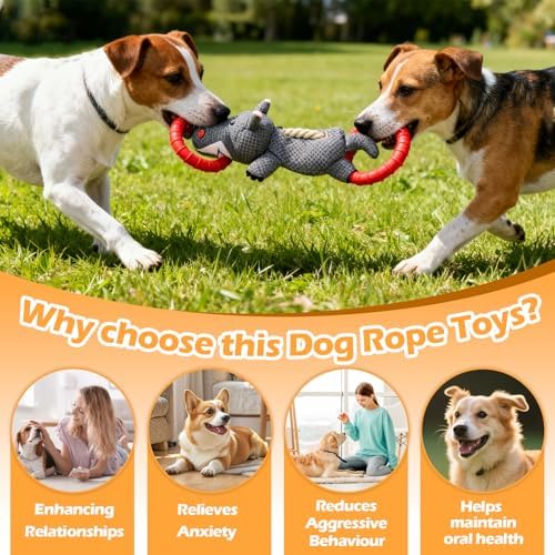 Tug-of-War Dog Toy, Durable Plush Chew Toy with Double EVA Pull Rings for Interactive Play, Chewing & Training for Small Medium Large Dogs