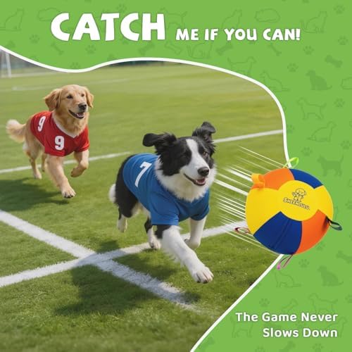 Small Herding Ball for Dogs, 9.8" Dog Soccer Ball with Straps