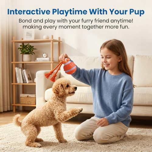 Interactive Dog Toys Automatic Rolling Ball with Rope Blue
