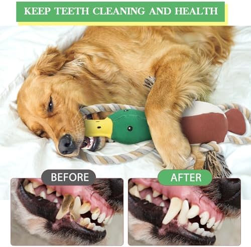 Duck Dog Toys for Small Medium Dogs, Durable Canvas Fetch Tug Toy with Sliding Rope & Crinkle Paper for Boredom Relief, Squeaky Interactive Teething Puppy Chew Toys for Chihuahua Corgi Beagle