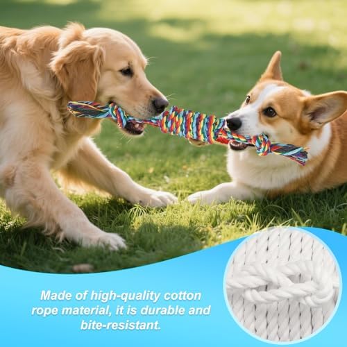 Celery Tough Dog Toys for Aggressive chewers - 4 Pack Durable Cotton Rope chew Toys for Large Dogs and Medium, Interactive tug of War, Teeth Cleaning, Puppy Training and Fetch Play (4 Pack)