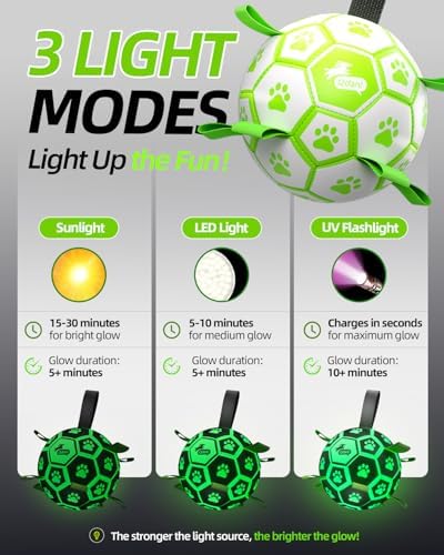 QDAN Glow in The Dark Dog Balls, Soccer Balls for Dogs with Straps, 6 Inch