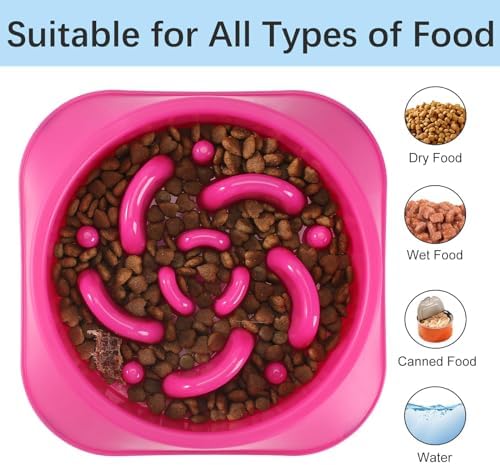 MateeyLife 2-Pack Slow Feeder Dog Bowls, 2 Cups, Dog Puzzle Feeder Bowl