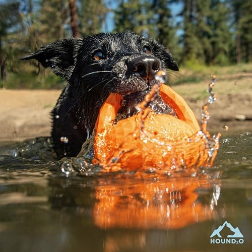 Squeaky Tug Ball - Floating Outdoor Dog Toy - Orange