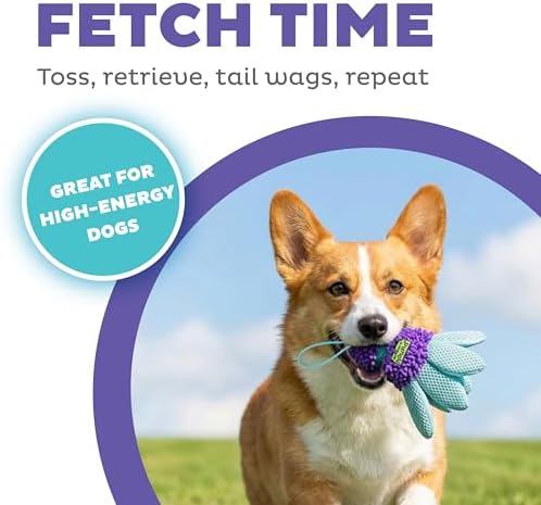 Outward Hound FlyFetch Birdie Dog Toy, Fetch or Replacement Tail for Teaser Wand, Multiple Textures, All Breeds, 5.5", 2-Pack
