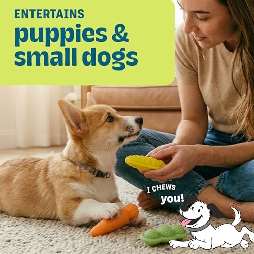 Flex-Force Veggie Chew Dog Toys, Multi-Textured & Floats, Multiple Scents for Sensory Play, Moderate Chewers, Teething Puppies and Small Breeds up to 25 lbs, 3-Pack, 4.9"
