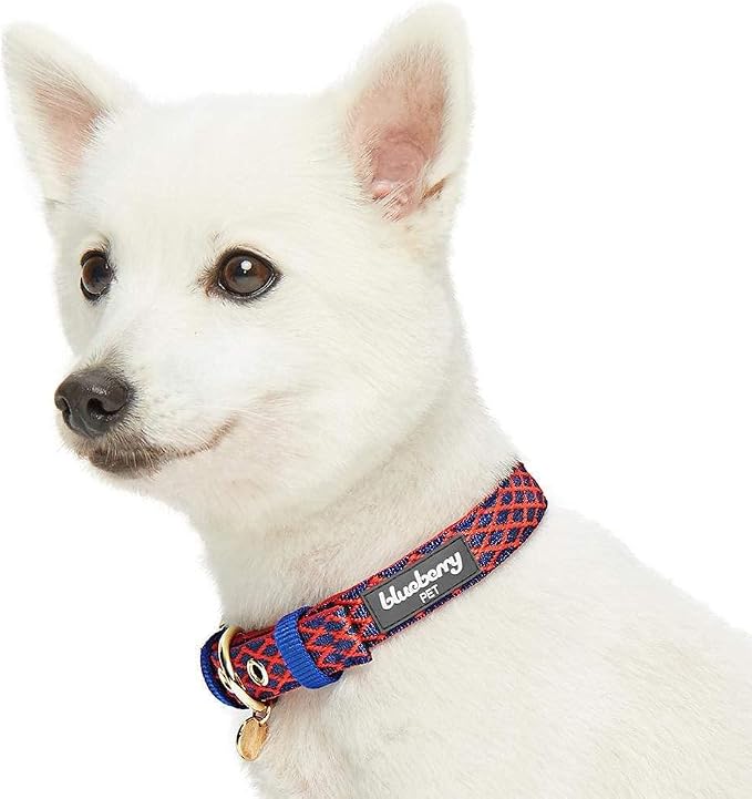 Blueberry Pet Diamond Pattern Adjustable Neoprene Padded Dog Collar with Metal Buckle - True Red, Neck 9-12.5", for Small Breed