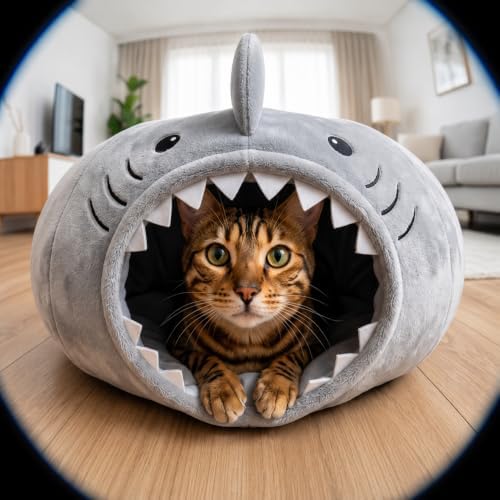 Baseola Fuzzy Cat Tunnel Bed for Indoor Cats, 2-in-1 Interactive Cat Toys
