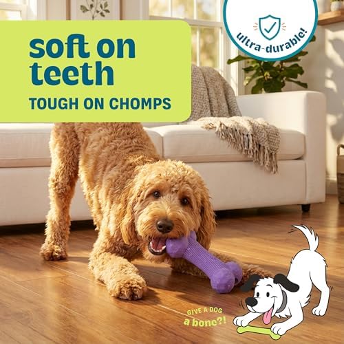 Flex-Force Bone Dog Toy for Fetch & Chew, Unpredictable Bounce, Floats in Water, Vanilla-Roast Scent for Sensory Play, Tough Chewers, Medium & Large Breeds (25-100+ lbs), 6.5"