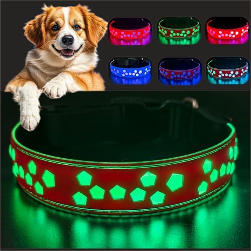 Personalized Light up Black Dog Collar with airtag Holder for Night Walk (RED Collar 15 Modes Lighting, L(15.7-19.7"))
