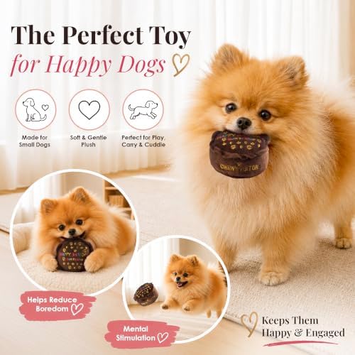 Dog Diggin Designs Chewy Vuiton Barkday Cake Plush Dog Toy | Luxury-Inspired Parody Designer Cake with Squeaker, Soft Plush Celebration Dog Toy – Prêt-à-Porter Play!