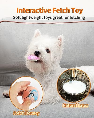 SCHITEC Squeaky Dog Toys, [6 Pack] Interactive Latex Rubber Squeak Ball Toy, Soft Fetch Play Balls for Puppy Small Dogs