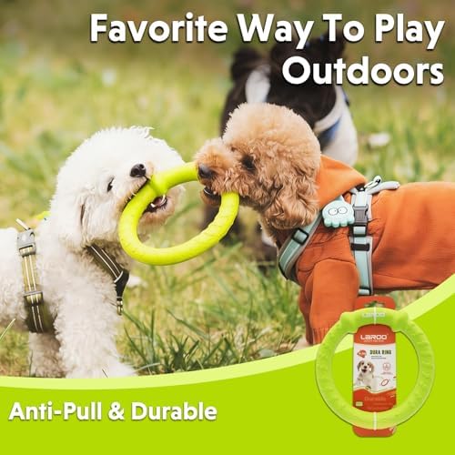 LaRoo Dog Chew Ring Toy for Small Dogs, Durable EVA Floating Puppy Teething Chew Toy, Interactive Tug of War Fetch Toy for Dental Cleaning & Outdoor Play (Green)
