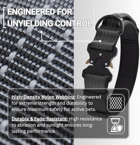 Dog Collar, Case Compatible with AirTag + Leash, Cobra Buckle, Padded (S)