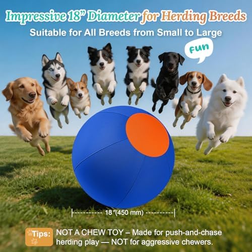 Herding Ball for Dogs Large for Australian Shepherd, Blue-Orange, M