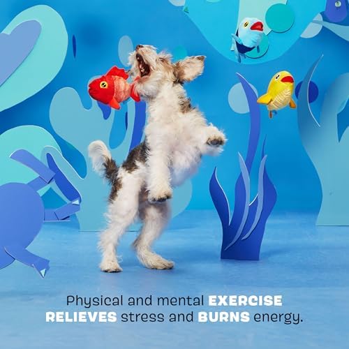 BarkBox The Groupers