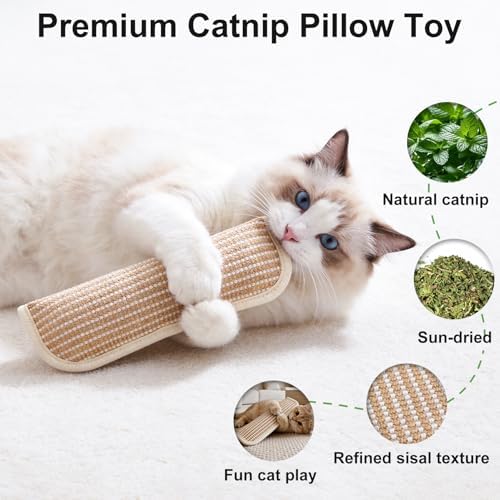 Cat Toys, 2 Pack Sisal Catnip Pillow Toys with 8000mg Catnip