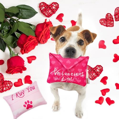 Valentine's Day Dog Toys, Squeaky Dog Toys with Crinkle for Dog Valentine's Day Gifts, Love Letter Toys for Small and Medium Dogs
