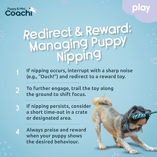 Coachi Puppy & Mini Tuggi Helix - Dog Toy for Tug of War & Play