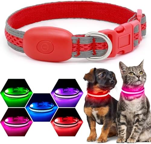 Flashseen LED Dog Collar, Light Up Dog Collar USB Rechargeable, Red, XS