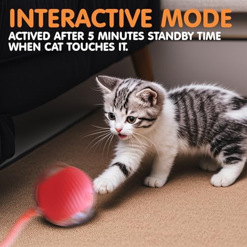 Rocfish Durable Interactive Cat Toys for Indoor Cats (red, 01)