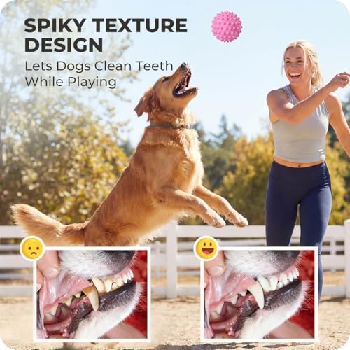 3.5" Durable Squeaky Dog Ball Toy for Puppy Medium Large Dogs(25-80 lbs): Bacon Flavored Pink Spiky Rubber Bouncing Floating Balls for Dogs, Tough Large Outdoor Dog Water Fetch Toys, Dog Gifts