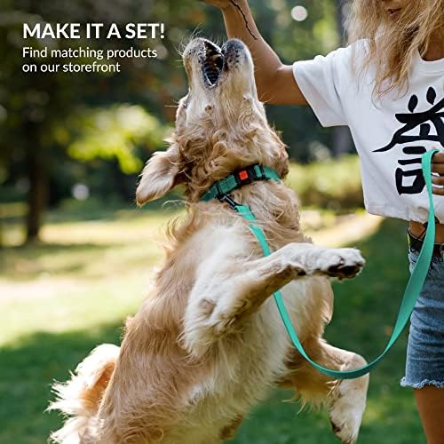 Reflective Dog Collar, Quick-Release Buckle (Mint Green, 10-13 Inch)