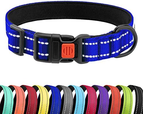 Reflective Dog Collar, Quick-Release Buckle (Blue, 12-16 Inch)