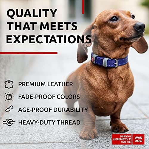 WAUDOG Long Lasting Leather Dog Collar for Large Dogs, Medium & Small Dogs - Adjustable Classic Puppy Collars for Large Breed Dogs - Boy & Girl Dog Collars with Durable Buckle, D-Ring & QR Dog Tag