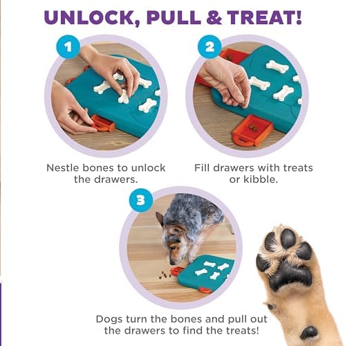 Outward Hound Nina Ottosson Dog Casino Dog Toy Treat Puzzle, 14" | Level 3 Advanced, 6 Hidden Treat Compartments, Holds 1-1/2 Cups, Wet or Dry Food, Interactive Enrichment, Dogs & Puppies