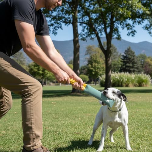 OllyDog Tugger | Dog Tug Toy for Tug of War & Training | Durable Bite Pillow | Eco-Friendly Recycled | Handle | Medium Large Dogs (Surf)