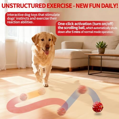 Interactive Dog Toys, Rechargeable Dog Ball, Automatic Moving Toy for Small Medium Dogs, Indoor Outdoor Exercise, Chew Resistant Design to Keep Busy