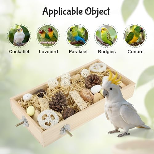 Bird Foraging Toys Box, Wooden Foraging for Bird,Wood Color, L