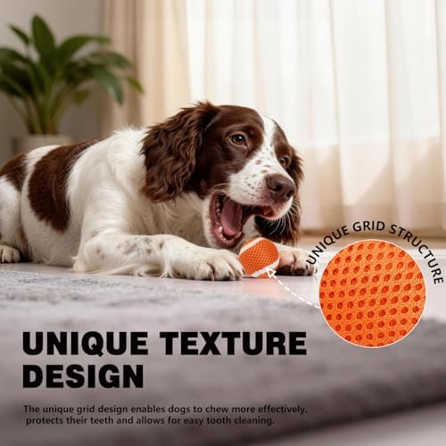 MECOOL Tennis Balls for Dogs 2.0in 20PCS Fetch Interactive Dog Balls Durable Toys for Cleaning Teeth Indoor/Outdoor Playing for Small and Middle Dogs(Blue and Orange)