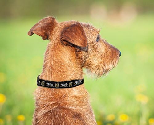 NHL LAS Vegas Golden Knights Collar for Dogs & Cats, Medium. - Adjustable, Cute & Stylish! The Ultimate Hockey Fan Collar!, Medium (12-18" Length x 0.62" Width)