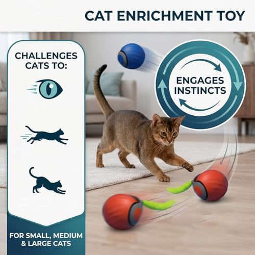Teazys Cat Toy Turbo Tail 3.0,Interactive Cat Toy Ball, Automatic Cat Toy with Tail, Electric Rolling Ball on Carpet, Cat Enrichment Toys for Small/Medium/Large Cats to Keep Them Busy (Blue)