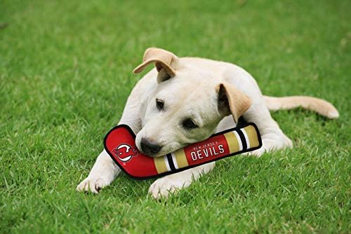 Pets First NHL New Jersey Devils Stick Toy for Dogs & Cats. Play Hockey with Your Pet with This Licensed Dog Tough Toy Reward! 16 inches long
