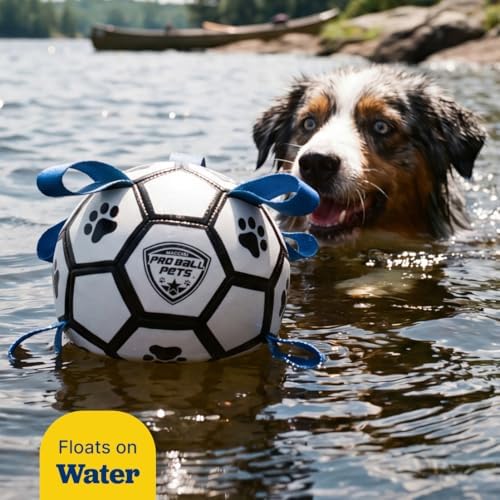 Maccabi Interactive Dog Soccer Ball for Dogs, 6” with Straps & Grab Tabs, Floats on Water, Fetch & Training Toy for Small/Medium Dogs, Herding Breeds, Waterproof Non-Toxic – ProBall Pets – White Blue
