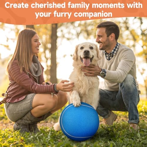QDAN Dog Tennis Balls, Large Big Dog Toys, Herding Ball for Dogs, 9.5 Inch