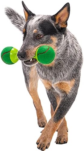 goDog Holiday Collection goBone Double-Sided Tennis Ball Bone Dog Toy - Green/Red, Large