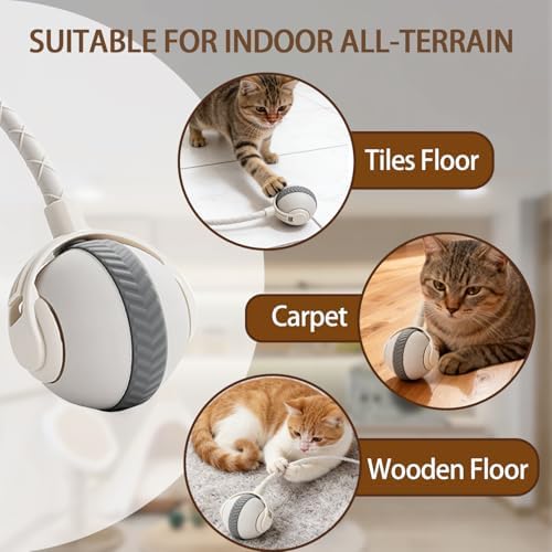 Interactive Cat Toy Ball Indoor Mouse Tail Ball for Cats (White)