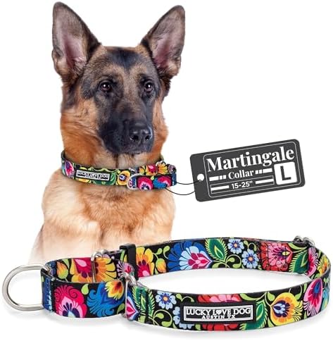 Lucky Love Dog Martingale Collar for Large Dogs No Slip – Blackbird, Large