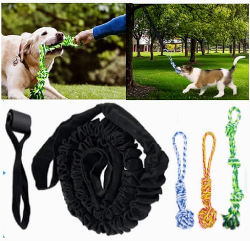 Spring Pole Dog Rope Toys, Tree Bungee Hanging Dogs Toy Interactive Tether Tug Indoor Outdoor Exercise Chewer Ropes Dog Toys, Pull Tug Solo Play Rope for Medium Large Dog