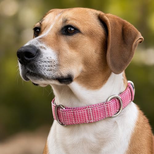 Pink Dog Collar Medium, Adjustable Martingale Dog Collar, 13.8 to 18.9 in, 2.0 in Wide Grid Pattern, Soft Padded Training Neckband with Metal D-Ring for Medium Large Dogs Walking