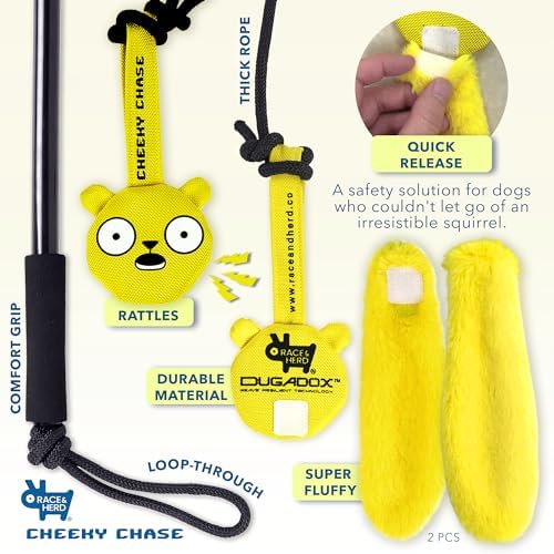 Race&Herd Cheeky Chase Flirt Pole for Dogs Heavy Duty - Catch Rod for Pet Fishing Toy, Tug of War Dog Toy for Aggressive Chewers, Dog Rope Toys for Medium Dogs