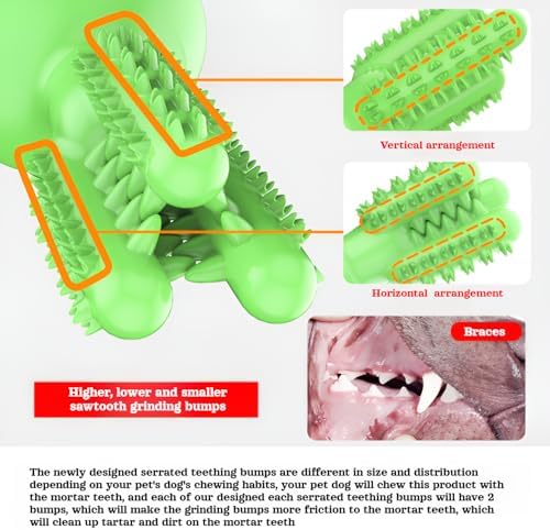 lilaBelle]【Cactus Dog Toy New Dental Stick for Dogs - Teeth Cleaning & Stress Relief Chew with Sound, Treat Dispenser, TPR Safe Material, Sizes Dogs, Home/Park/Garden (Saudi Pets)