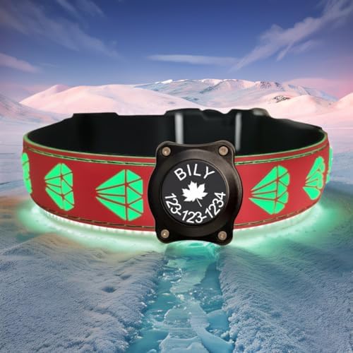 Personalized Dog Collar Waterproof airtag Dog tag Holder,USB C Light up Night Black Dog Collar (RED, M(11.8-15.7"))