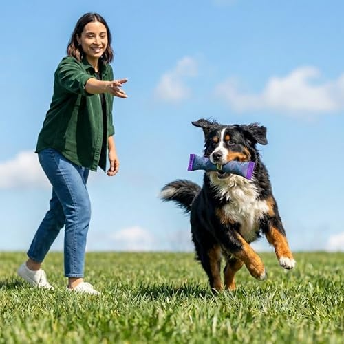 Outward Hound FlyFetch Firehose Fetch Ultra-Durable Dog Toy with Squeaker, Floats in Water, All Breeds, 16"